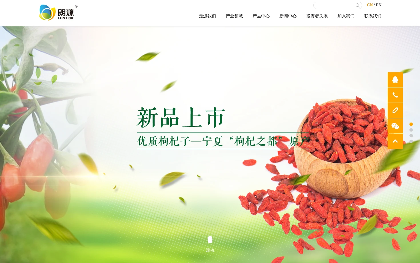 朗源股份有限公司 页面快照